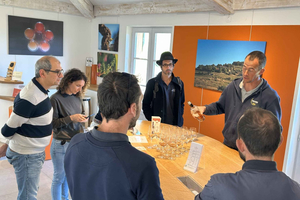 Von Aix en Provence aus: Ganztagestour Bandol & Cassis Wein
