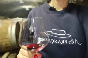 From Marseille Cruise Port : Avignon & Wine Tasting