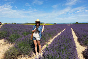 Tagestour nach Valensole inmitten von Lavendel mit Besuch einer Destillerie