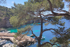 Marseille, Aix-en-Provence & Cassis 7-Hour Tour