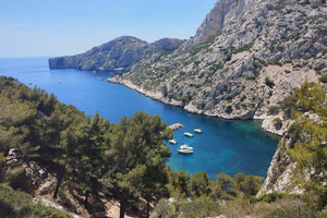 Marsella: Senderismo guiado Parque Nacional de las Calanques desde Luminy