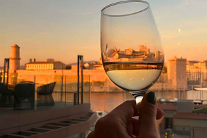 Panoramic Provence Wine Tasting at 5* hotel