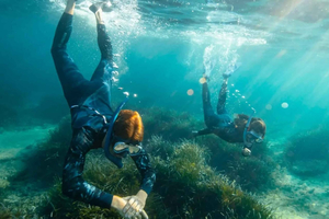 snorkelexcursie naar de Frioul-eilanden