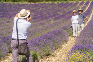 Valensole Lavenders Tour from Cruise Port