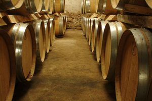 From Marseille: Aix en Provence Wine and Cheese Tour