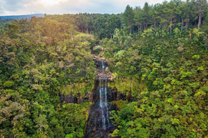 Authentic Chamarel Tour - The famous 4 parks of Chamarel