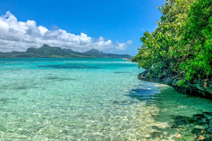 Blue Bay: Lagoon, Snorkeling, and Creole Lunch