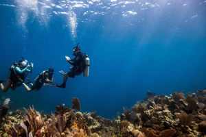 ENTDECKEN SIE DAS TAUCHEN IN LEMORNE mit EasydiveMauritius