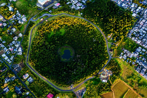 Discover South Tour Nature & Culture, Local Guide