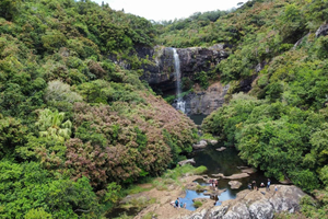 Hike and Swim at Tamarin Falls and Mare Longue