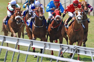 Horse Racing Experience with Local Guide