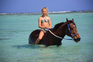 Escapada a caballo con vistas al océano en Le Morne – Paseo de 1 hora