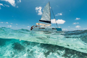 Mauritius: Katamaransejltur – Bernache Island og mangrover