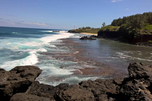 Mauritius: Private Südseite und Delfin Abenteuer Tour