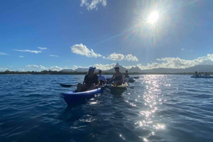 Mauritius: Tamarin Bay Dolphin Watching Kayak Tour