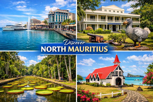 North Mauritius Touring with Private Group Transfer