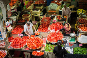 Port Louis & Noord Mauritius Dagvullende tour met gids