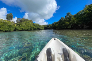 Rivière du Rempart Guided Kayak Tour
