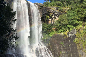 Guidet vandretur til Tamarind Falls med svømning (7 vandfald)