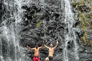 Halv dag til Tamarind Falls