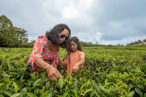 Tea Route Tour with Lunch & Transfers