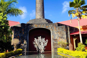Winery to Rum Distillery - South West Tour with Lunch