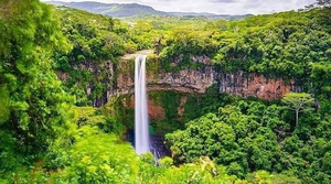7 Point Travel & Tours