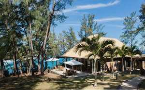 Andrea Lodges