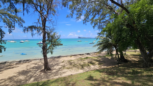 Bain boeuf public beach