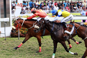 Places to visit in Mauritius