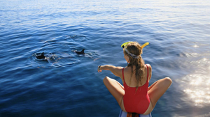 Dolphins Watching in Mauritius (Blue-Safari)