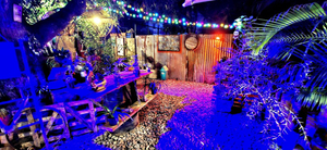 Konekté Botanical Cafe & Pub