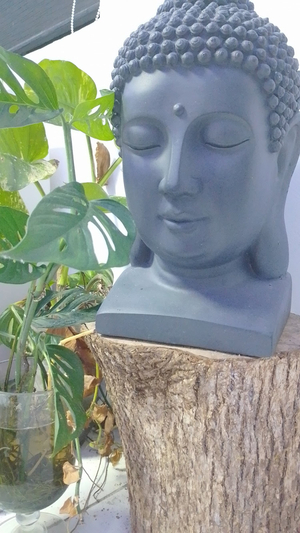 Le Chill wellness