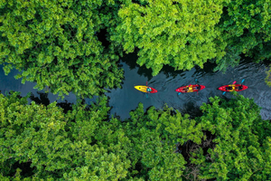 Guided Kayak Tour on Tamarin River