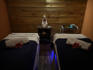 Nature Spa ( massage & wellness therapy )