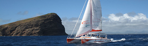 Passion Océane Eco Cruises & Adventures
