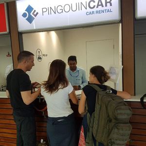 Pingouin Car Rental
