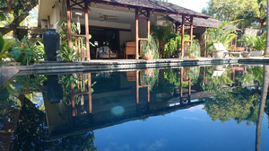 Sweet Island & Sweet Island Studio Ocean