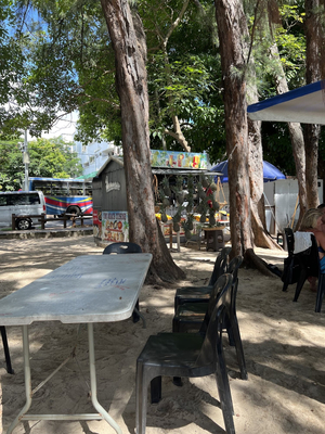 The Beach Cuisine Hector Cactus Food