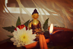 Ved Holistic Care Centre