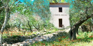 Côrte-Real Gallery