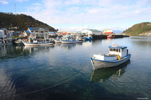 Best Tours and Things to do in Puerto Montt and Puerto Varas