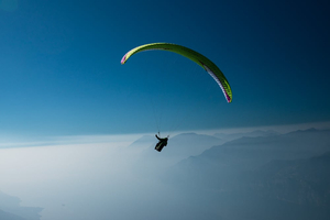 Parapro