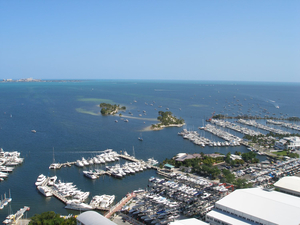 Coconut Grove