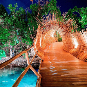 Comer y beber en Cancún