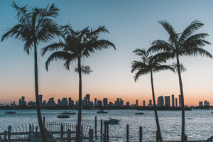 Fatti interessanti su Miami