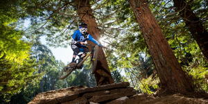 Top 5 Trilhas de Bicicleta em Rotorua
