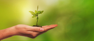 Ovisstider: Hur du future-proofar dina finanser