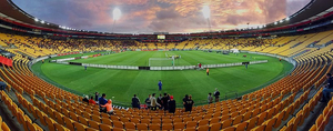 Wellington for sportsfans
