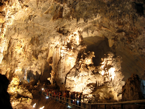 ¡Qué hacer en la Ciudad de México para una aventura al aire libre!